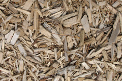 biomass boilers Birdbush
